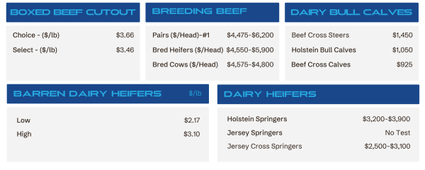 Cattle price dashboard showing categories: Boxed Beef Cutout, Breeding Beef, Dairy Bull Calves with per-lb and per-head prices and sample lines like Choice .66/lb, Pairs ,475–,200, etc.