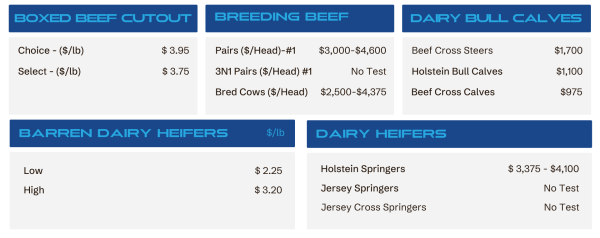 Infographic price board showing categories: Boxed Beef Cutout, Breeding Beef, Dairy Bull Calves, Barren Dairy Heifers, and Dairy Heifers, with sample prices (e.g., Choice .95/lb; Holstein Springers ,375–,100).