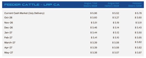 Table of current cash market prices for July-delivery feeder cattle in CA, with monthly prices for three groups: Angus/ Holsteins 450#, Angus Hol Heifers 450#, and Holstein Steers 325#.