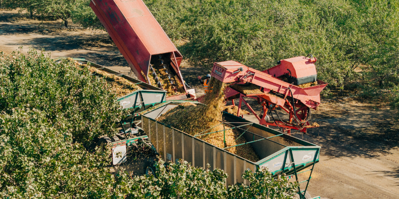 Web Banners - News Blogs 3 - The AG Center Red grain auger and conveyor unloading harvested grain into a large green trailer in a sunlit orchard/field setting.