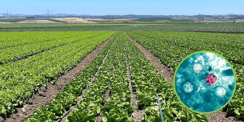 Web Banners - News Blogs 5 - The AG Center