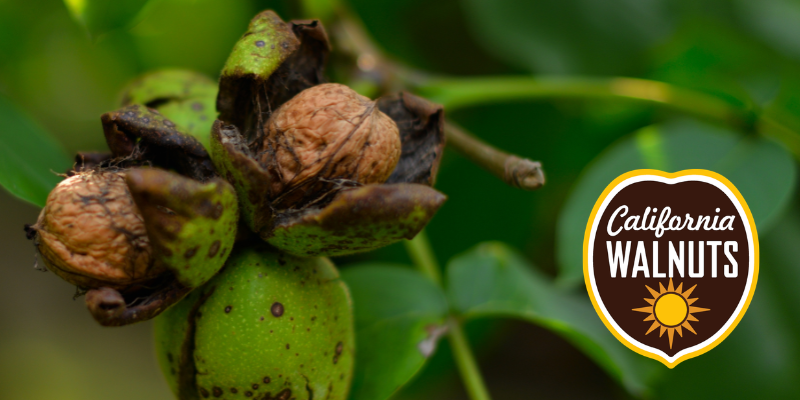 Web Banners - News Blogs 16 - The AG Center
