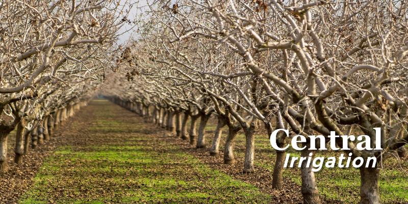 Web Banners - News Blogs 37 - The AG Center