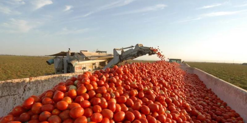 Web Banners - News Blogs 53 - The AG Center